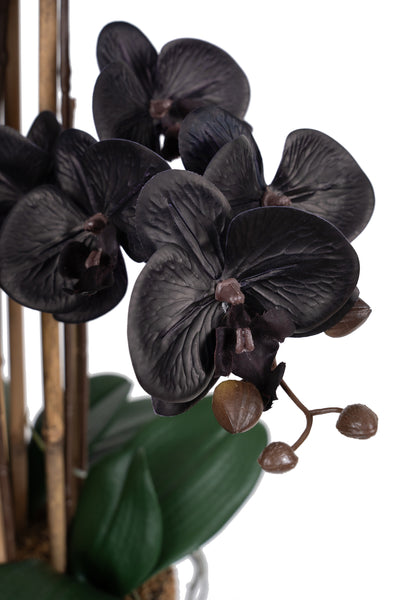 Orhidee artificiala neagra cu aspect natural H66 cm cu 6 tulpini cu frunze verzi