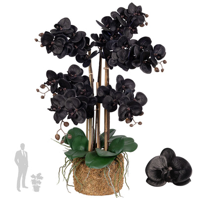 Orhidee artificiala neagra cu aspect natural H66 cm cu 6 tulpini cu frunze verzi