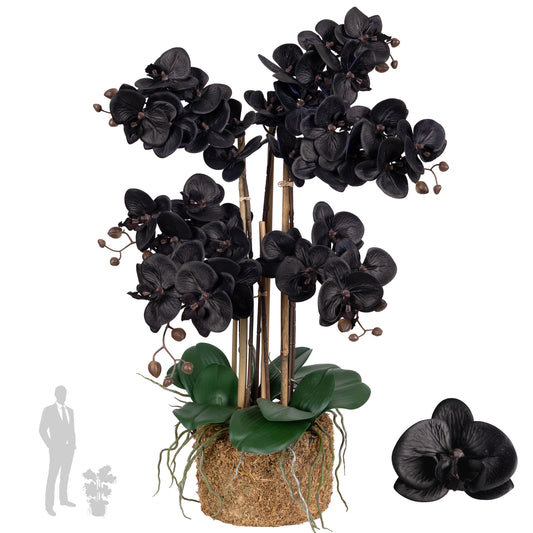 Orhidee artificiala neagra cu aspect natural H66 cm cu 6 tulpini cu frunze verzi