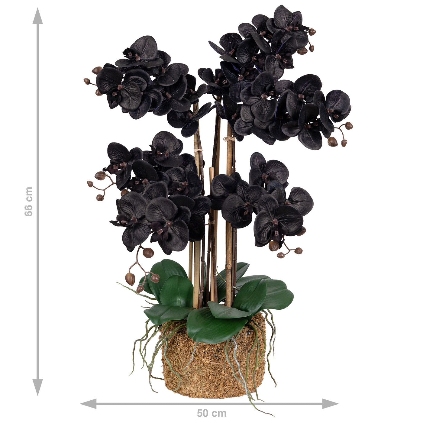Orhidee artificiala neagra cu aspect natural H66 cm cu 6 tulpini cu frunze verzi