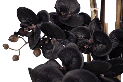 Orhidee artificiala neagra cu aspect natural H66 cm cu 6 tulpini cu frunze verzi