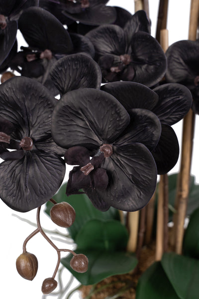 Orhidee artificiala neagra cu aspect natural H66 cm cu 6 tulpini cu frunze verzi