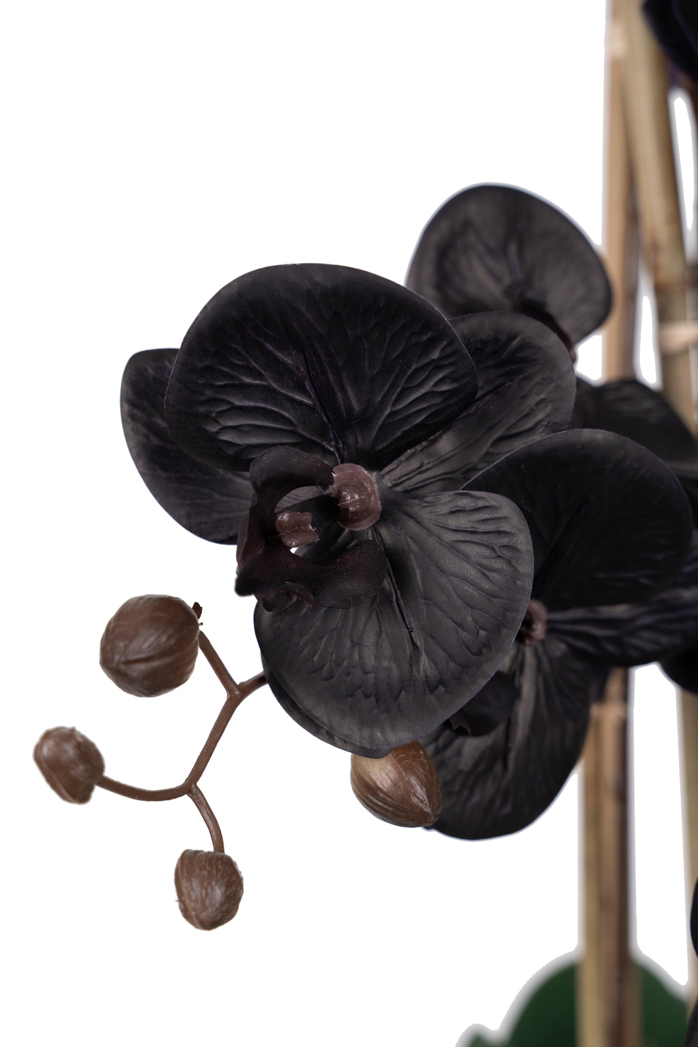 Orhidee artificiala neagra cu aspect natural H66 cm cu 6 tulpini cu frunze verzi