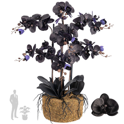 Orhidee artificiala neagra cu aspect natural H76 cm cu 7 tulpini