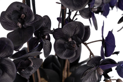 Orhidee artificiala neagra cu aspect natural H76 cm cu 7 tulpini