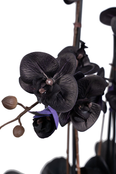 Orhidee artificiala neagra cu aspect natural H76 cm cu 7 tulpini