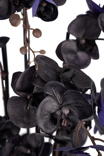 Orhidee artificiala neagra cu aspect natural H76 cm cu 7 tulpini