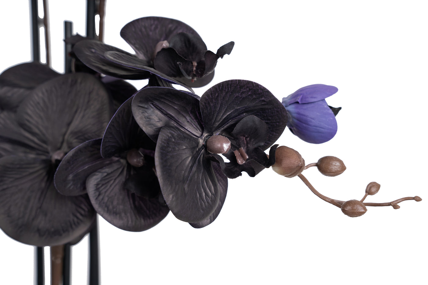 Orhidee artificiala neagra cu aspect natural H76 cm cu 7 tulpini