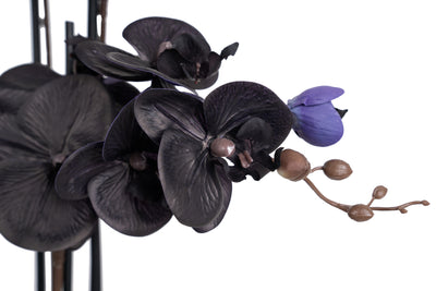Orhidee artificiala neagra cu aspect natural H76 cm cu 7 tulpini