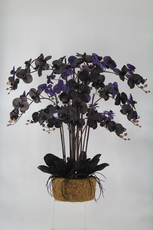 Orhidee artificiala neagra cu aspect natural H90 cm cu 12 tulpini