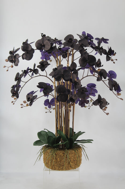 Orhidee artificiala neagra cu aspect natural H90 cm cu 12 tulpini