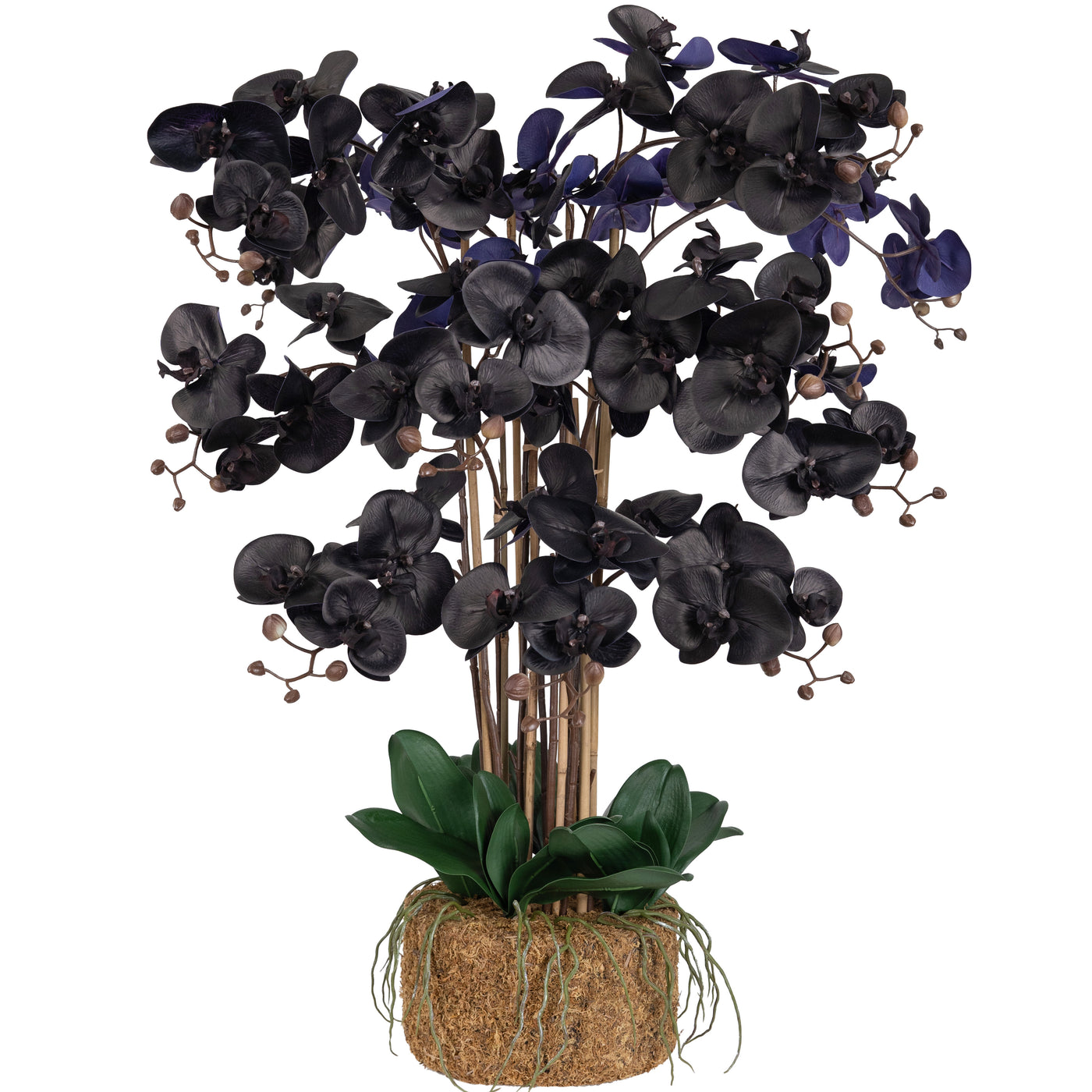 Orhidee artificiala neagra cu aspect natural H90 cm cu 12 tulpini si frunze verzi