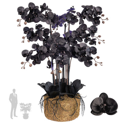 Orhidee artificiala neagra cu aspect natural H95 cm cu 9 tulpini