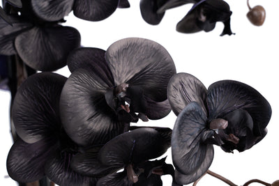 Orhidee artificiala neagra cu aspect natural H95 cm cu 9 tulpini