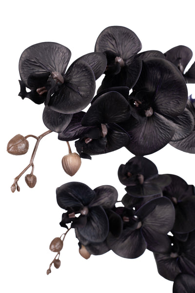 Orhidee artificiala neagra cu aspect natural H95 cm cu 9 tulpini