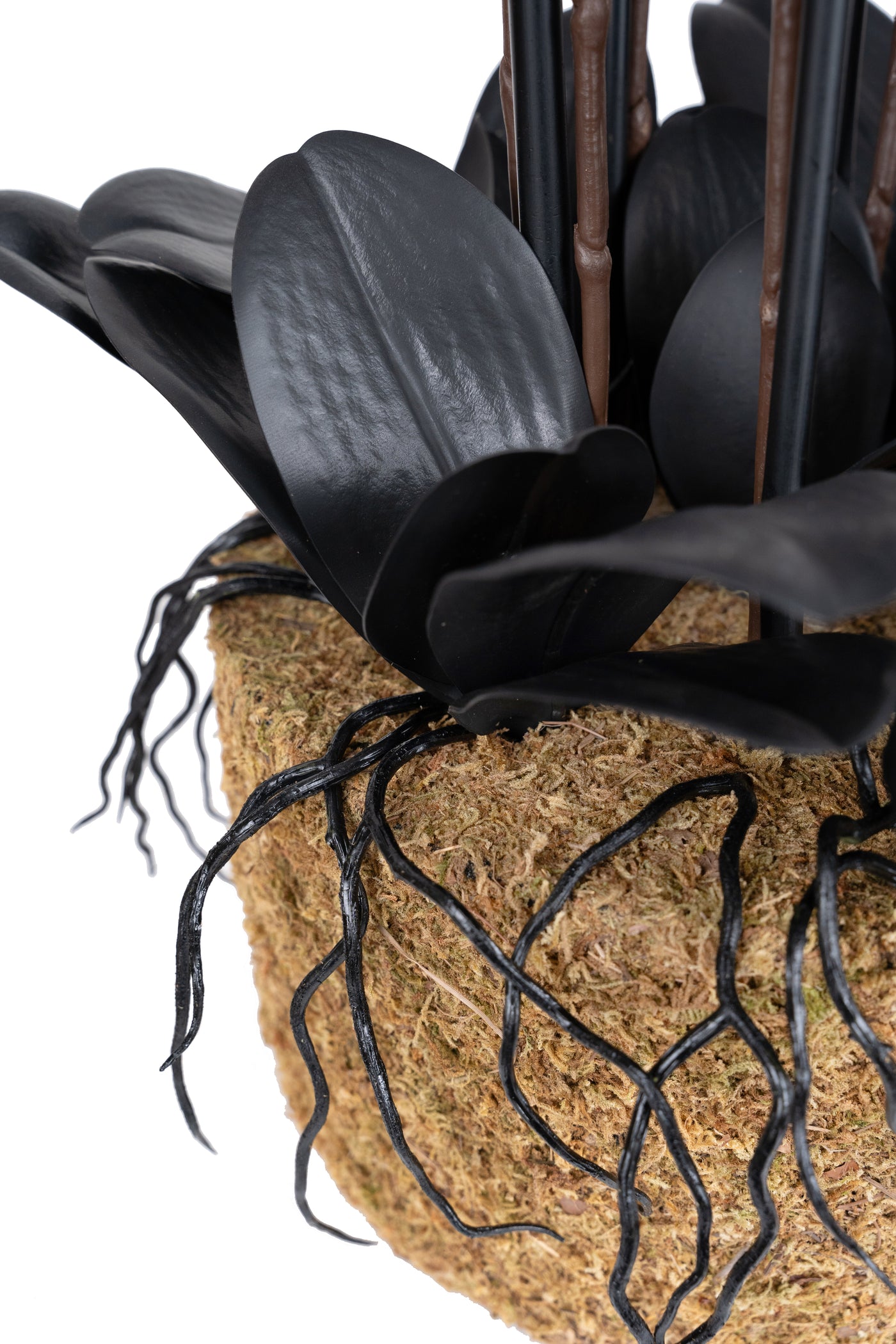 Orhidee artificiala neagra cu aspect natural H95 cm cu 9 tulpini