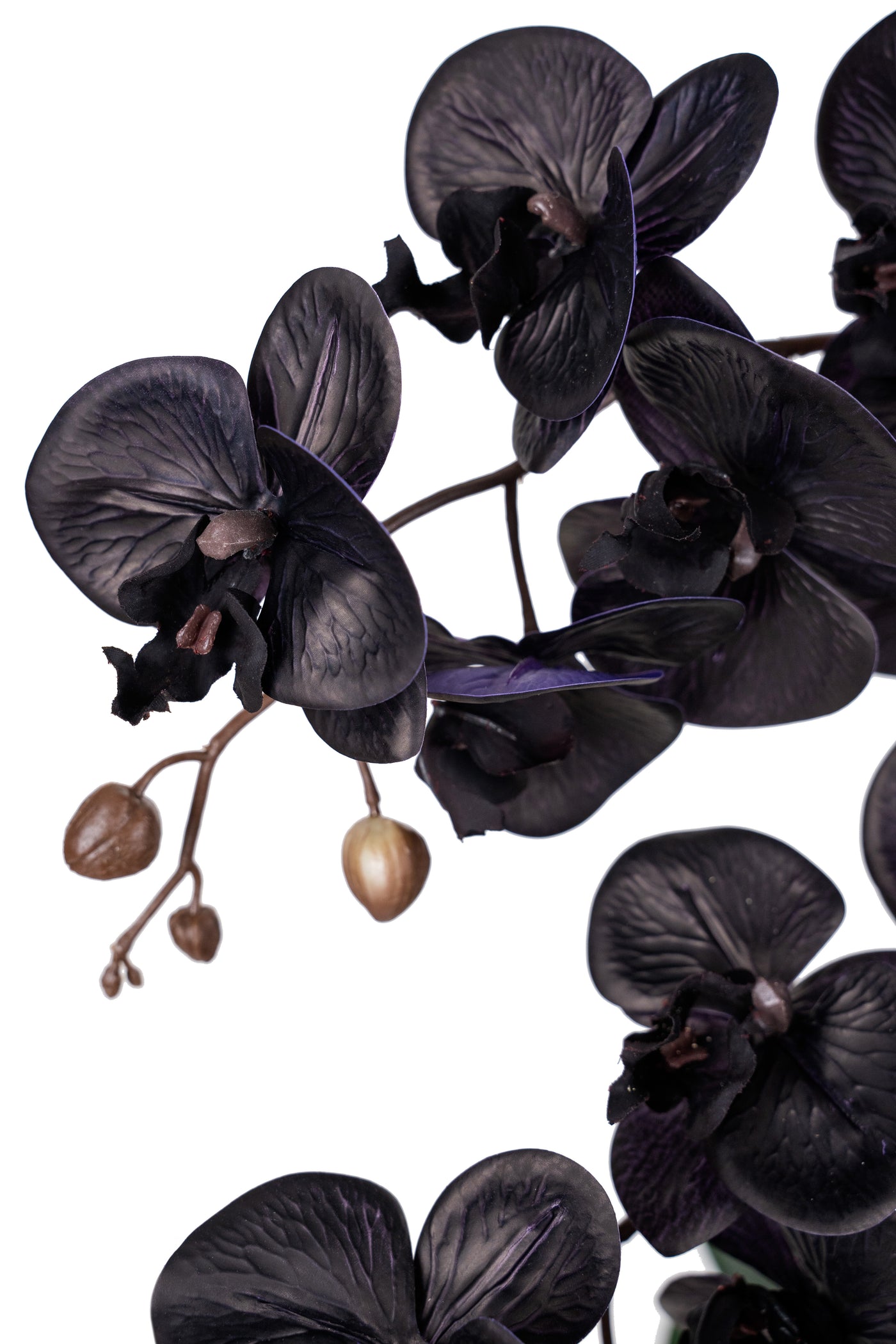 Orhidee artificiala neagra cu aspect natural H95 cm cu 9 tulpini