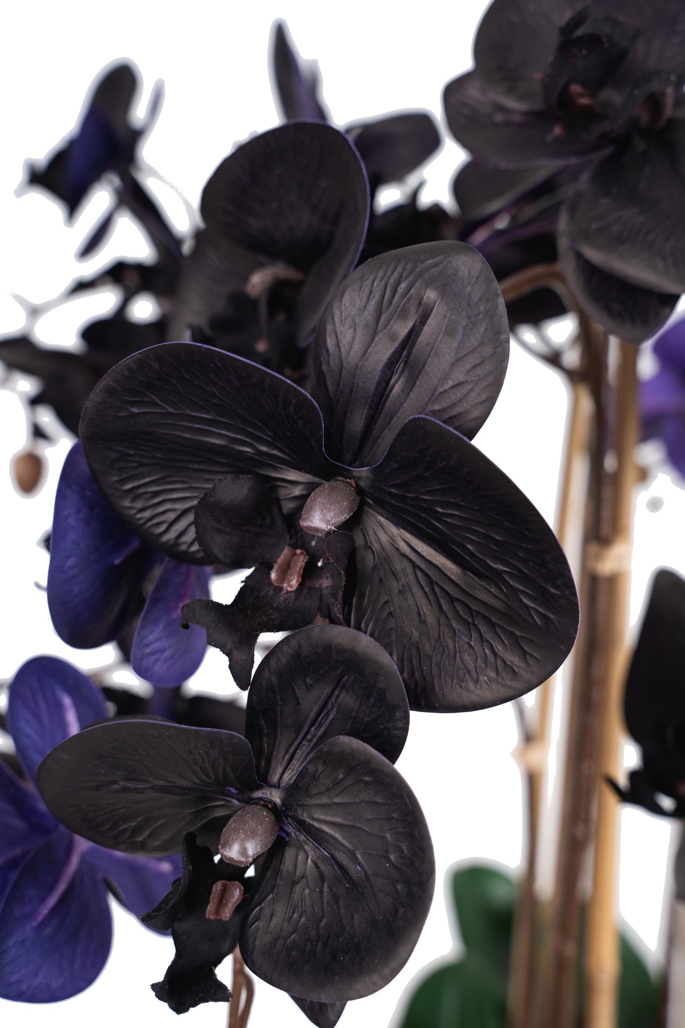 Orhidee artificiala neagra cu aspect natural H95 cm cu 9 tulpini cu frunze verzi