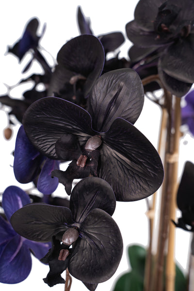 Orhidee artificiala neagra cu aspect natural H95 cm cu 9 tulpini cu frunze verzi