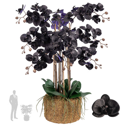 Orhidee artificiala neagra cu aspect natural H95 cm cu 9 tulpini cu frunze verzi