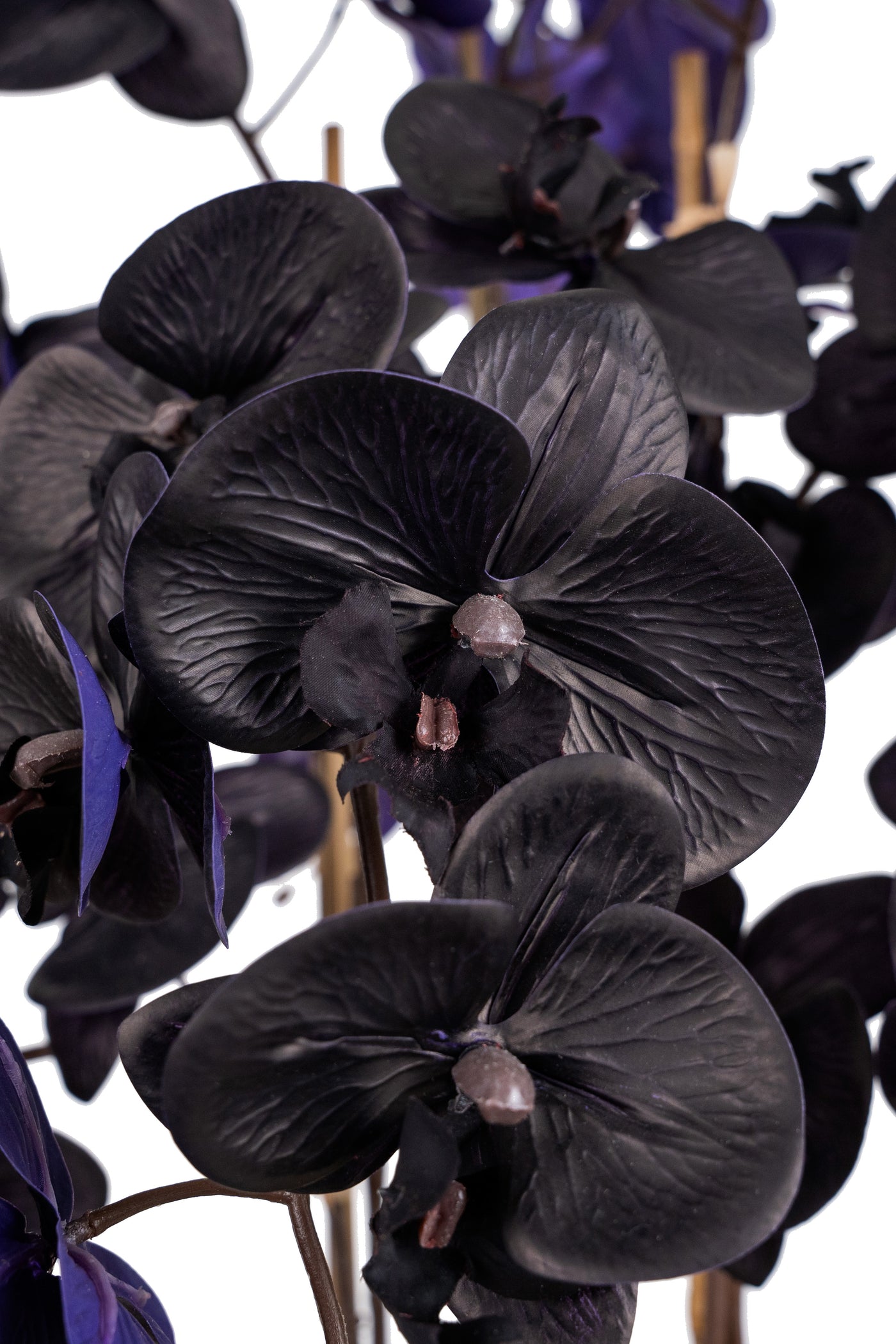 Orhidee artificiala neagra cu aspect natural H95 cm cu 9 tulpini cu frunze verzi