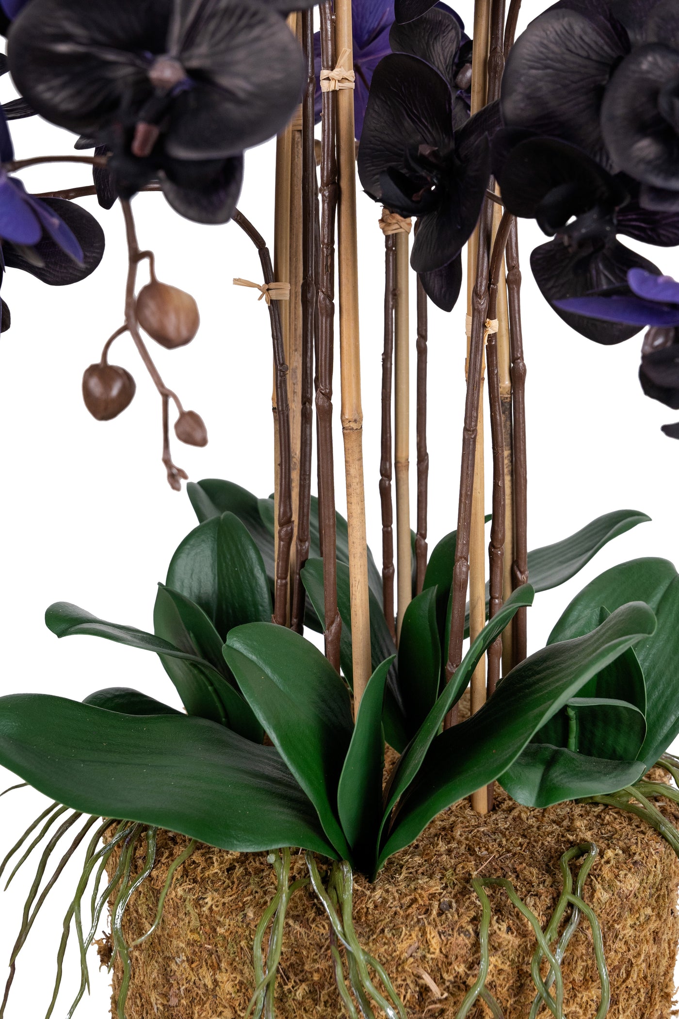 Orhidee artificiala neagra cu aspect natural H95 cm cu 9 tulpini cu frunze verzi