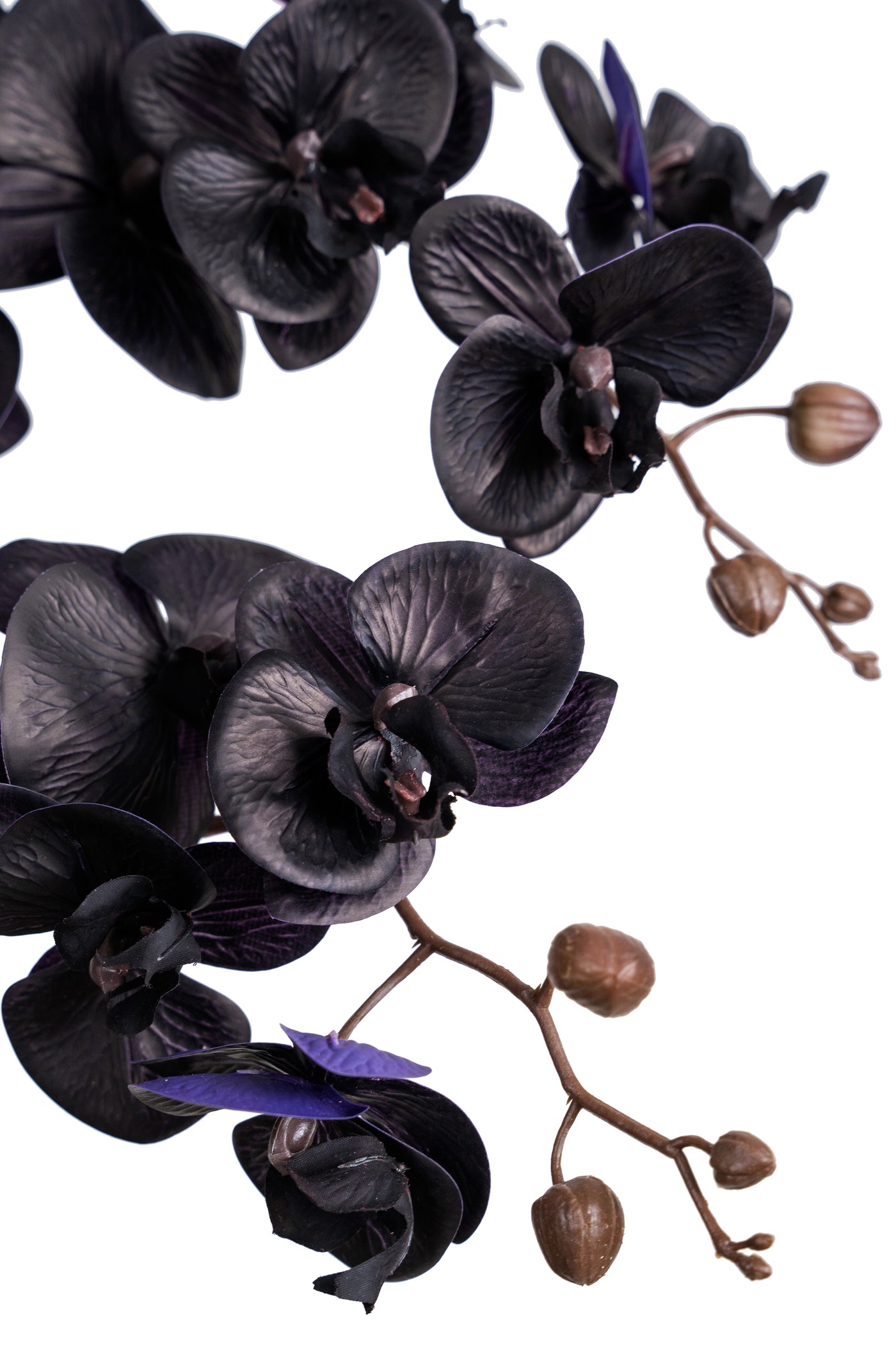 Orhidee artificiala neagra cu aspect natural H95 cm cu 9 tulpini cu frunze verzi