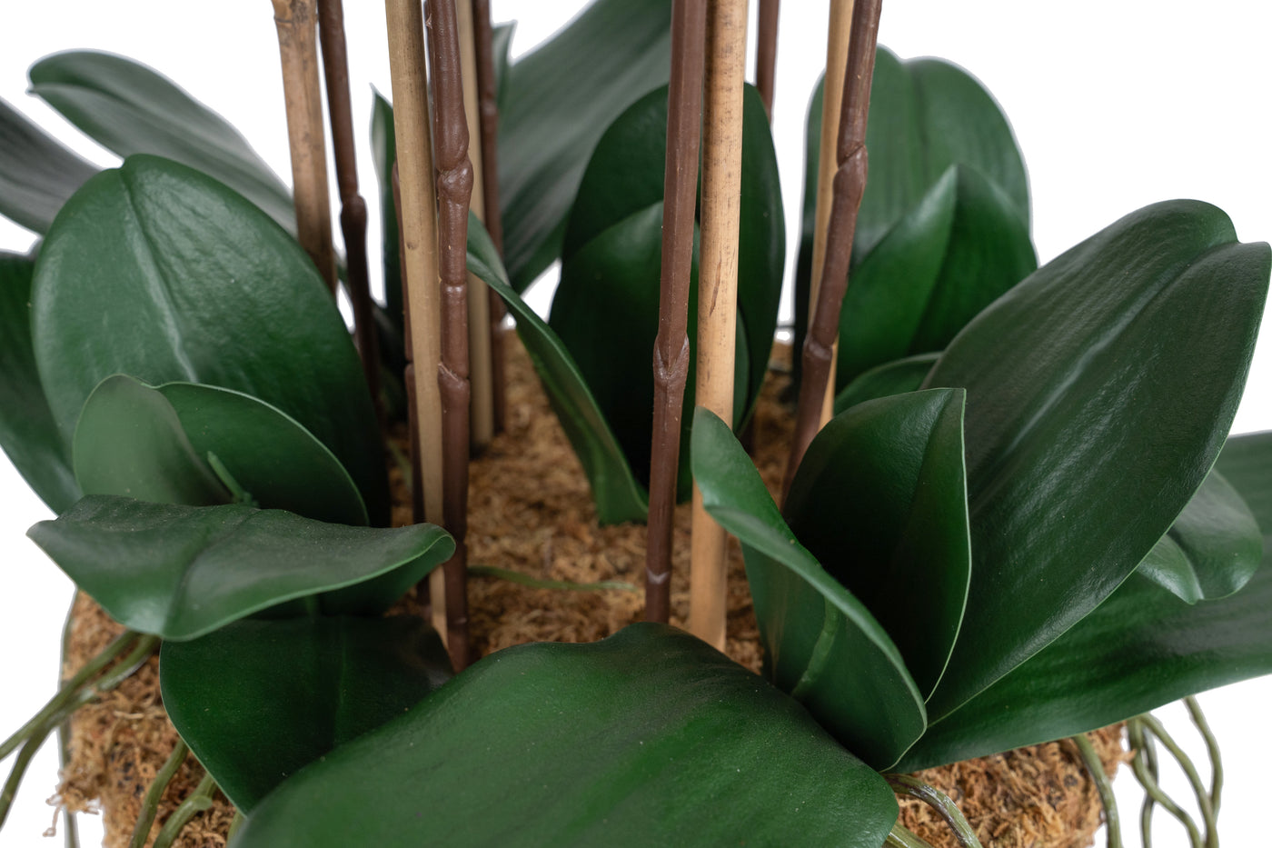 Orhidee artificiala neagra cu aspect natural H95 cm cu 9 tulpini cu frunze verzi