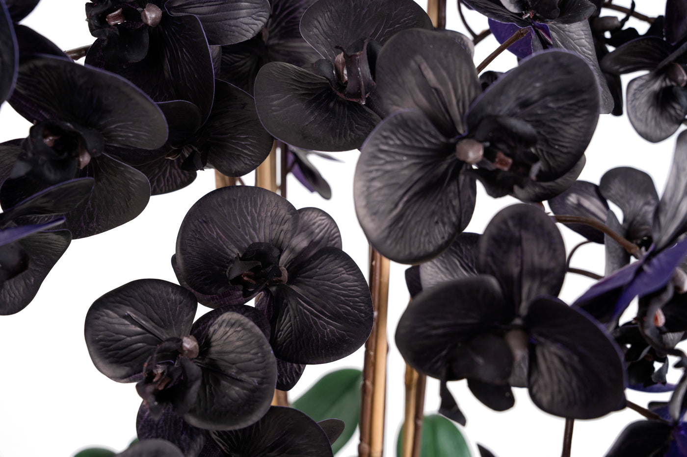 Orhidee artificiala neagra cu aspect natural H95 cm cu 9 tulpini cu frunze verzi