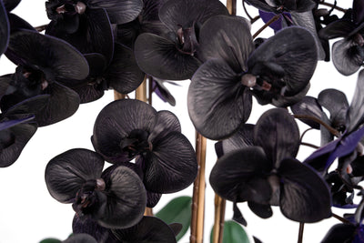 Orhidee artificiala neagra cu aspect natural H95 cm cu 9 tulpini cu frunze verzi