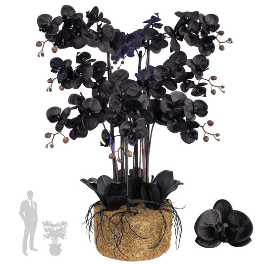 Orhidee artificiala neagra cu aspect natural H95 cm cu 9 tulpini si frunze negre