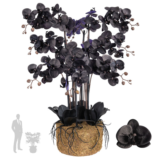 Orhidee artificiala neagra cu aspect natural H95 cm cu 9 tulpini si frunze negre