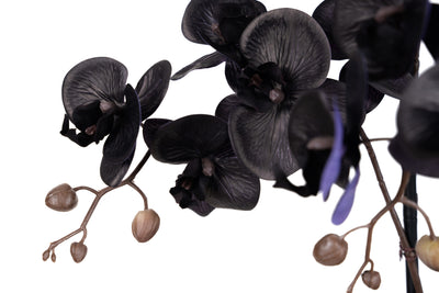 Orhidee artificiala neagra cu aspect natural H95 cm cu 9 tulpini si frunze negre
