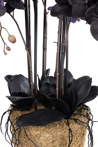 Orhidee artificiala neagra cu aspect natural H95 cm cu 9 tulpini si frunze negre