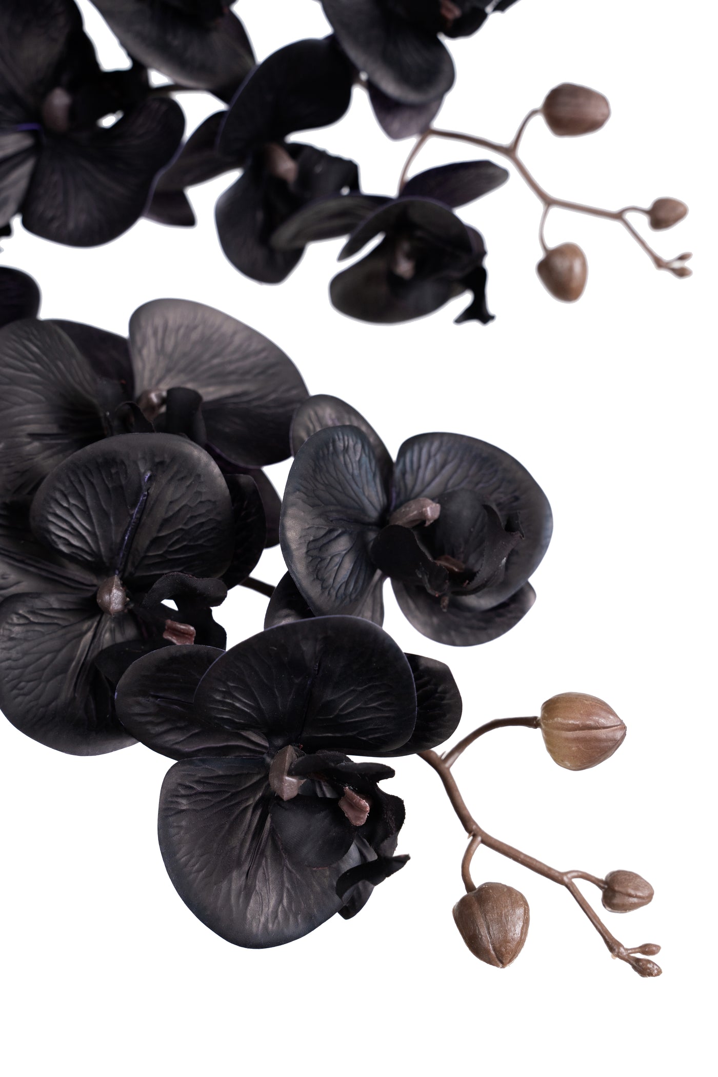 Orhidee artificiala neagra cu aspect natural H95 cm cu 9 tulpini si frunze negre