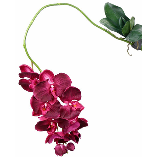 Orhidee artificiala Phalaenopsis 105 cm bordeaux
