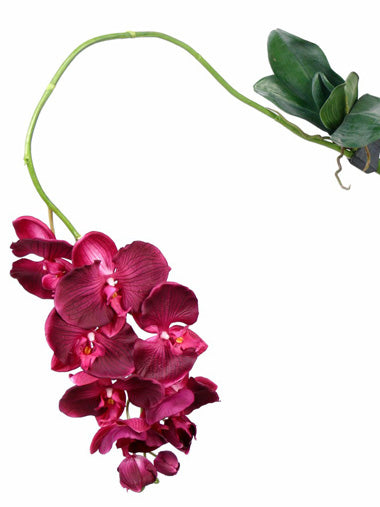 Orhidee artificiala Phalaenopsis 105 cm bordeaux