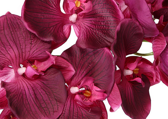 Orhidee artificiala Phalaenopsis 105 cm bordeaux