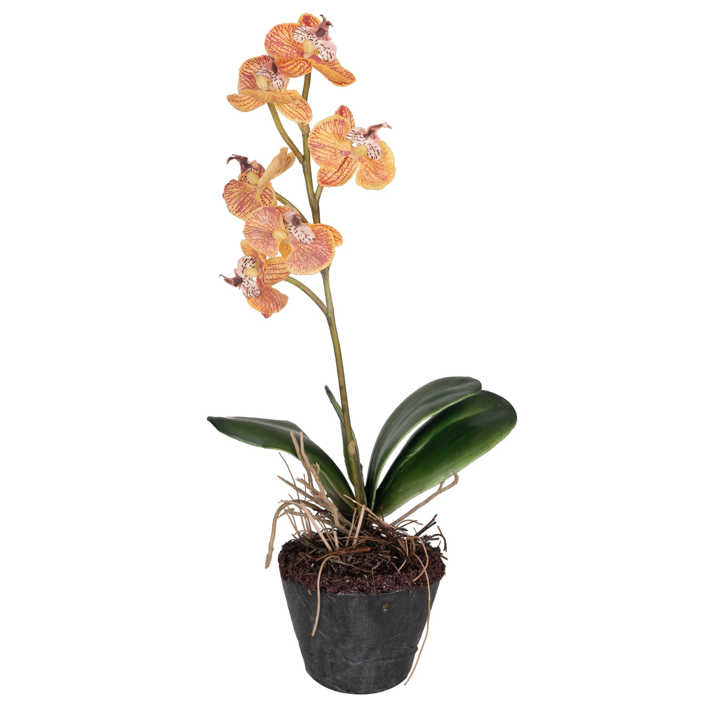 Orhidee artificiala Phalaenopsis 30 cm HO in ghiveci