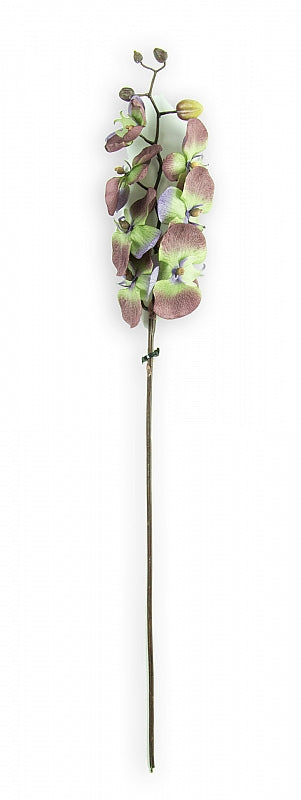 Orhidee artificiala Phalaenopsis D10x9x8x5xH80 cm gri