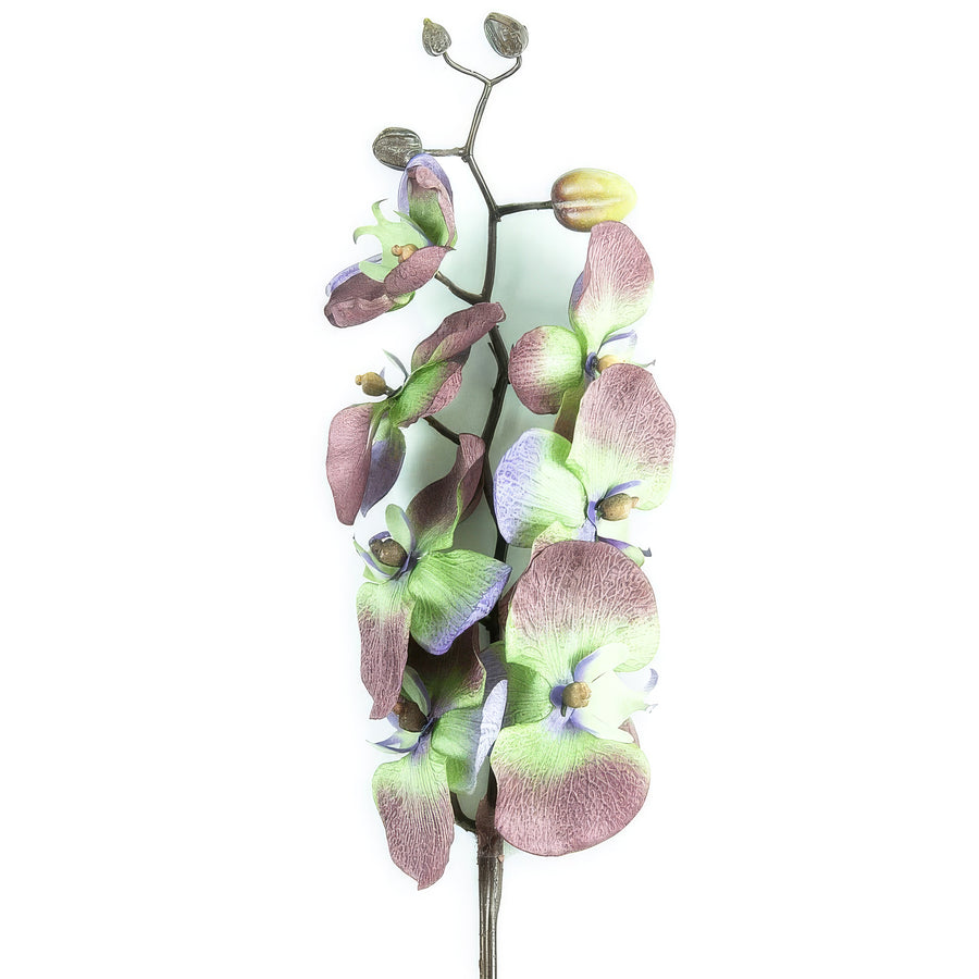 Orhidee artificiala Phalaenopsis D10x9x8x5xH80 cm gri