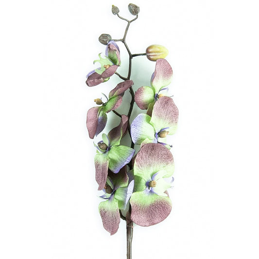 Orhidee artificiala Phalaenopsis D10x9x8x5xH80 cm gri