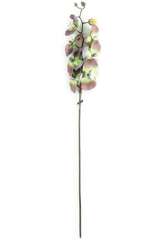 Orhidee artificiala Phalaenopsis D10x9x8x5xH80 cm gri