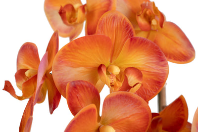 Orhidee artificiala portocaliu cu grena cu aspect natural H65 cm cu 3 tulpini