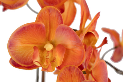Orhidee artificiala portocaliu cu grena cu aspect natural H65 cm cu 3 tulpini