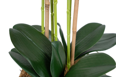 Orhidee artificiala portocaliu cu grena cu aspect natural H69 cm cu 5 tulpini