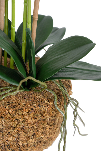 Orhidee artificiala portocaliu cu grena cu aspect natural H69 cm cu 5 tulpini