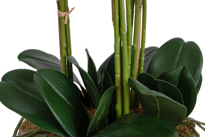 Orhidee artificiala portocaliu cu grena cu aspect natural H80 cm cu 9 tulpini