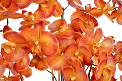 Orhidee artificiala portocaliu cu grena cu aspect natural H85 cm cu 8 tulpini