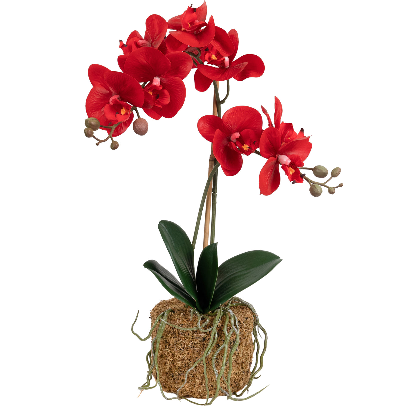 Orhidee artificiala rosie cu aspect natural H52 cm cu 2 tulpini